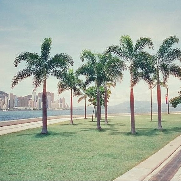 RETO Reusable 35mm Film Camera With 35mm Film Bundle - Picture 4 of 8